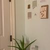 mysmallshop
